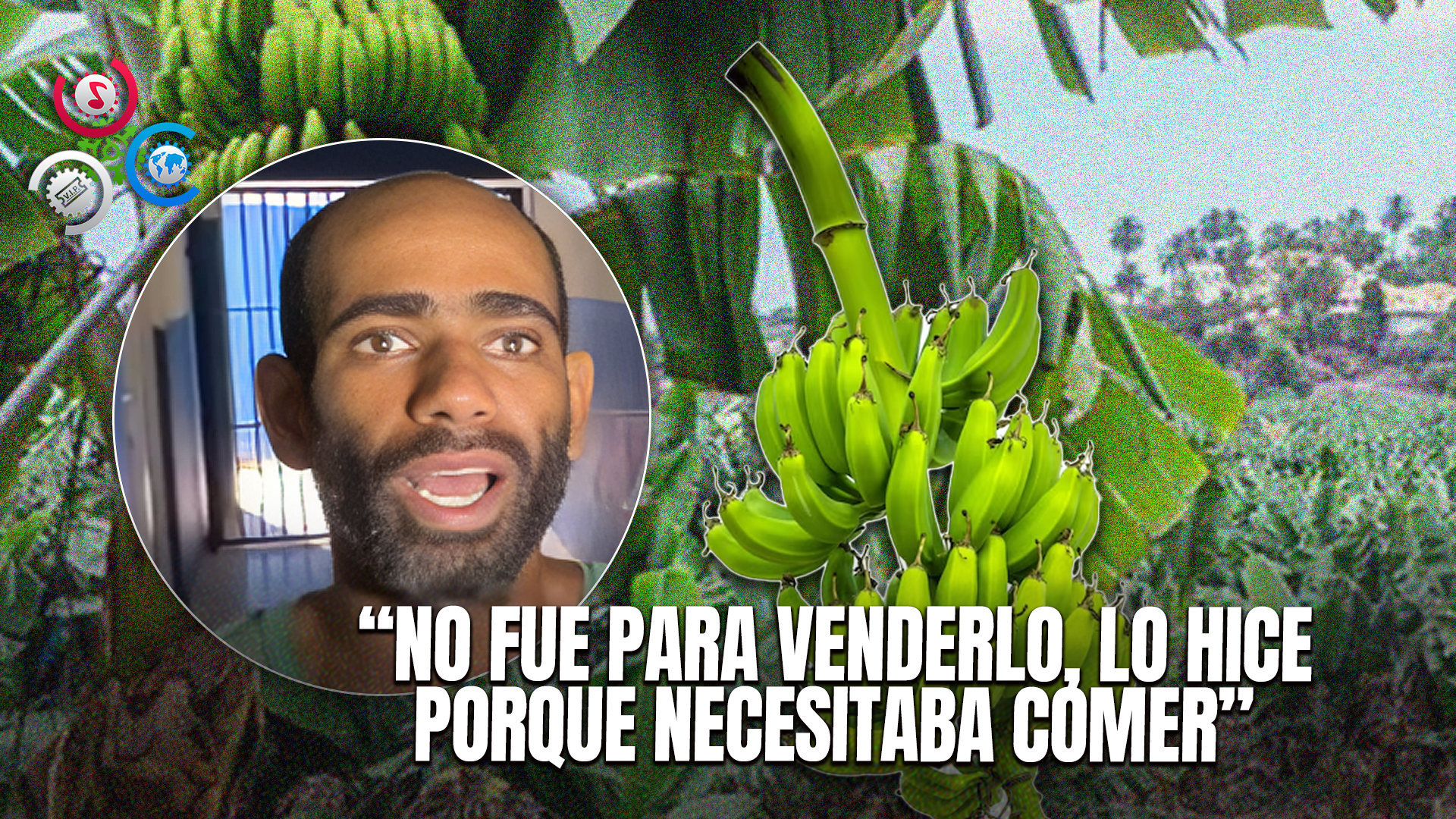 Arrestan A Hombre Por Robar Un Racimo De Plátanos En San Francisco De Macorís