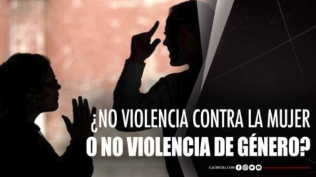 ¿No Violencia Contra La Mujer O No Violencia De Género?
