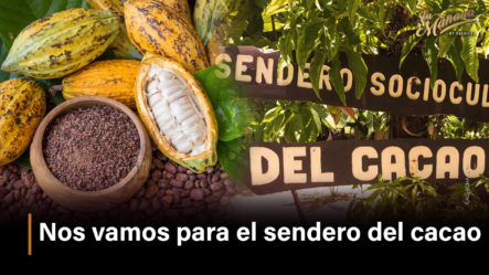 Nos Vamos Para “El Sendero Del Cacao” | Tu Mañana By Cachicha