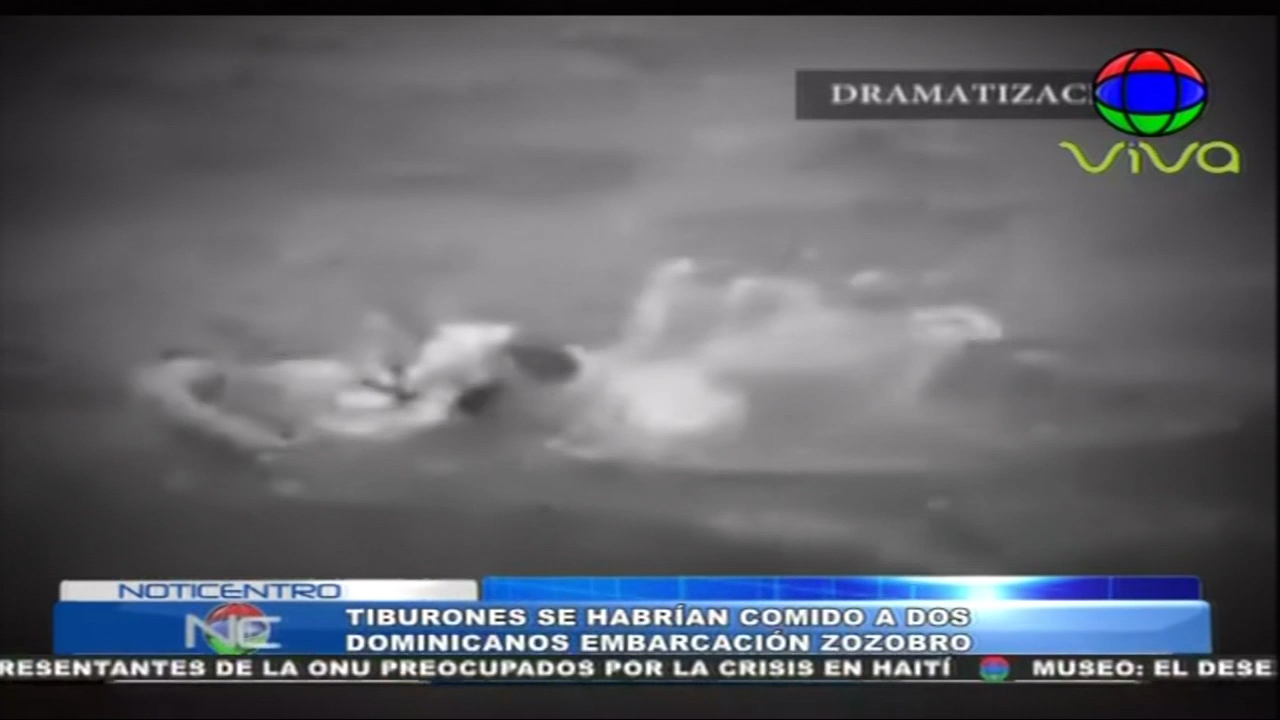 Sobrevivientes De La Yola Que Zozobró Con Un Grupo De Personas Dicen “tiburones Se Habrían Comido A Otros Dos”