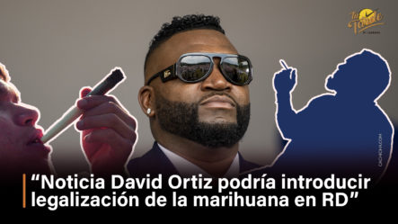 Noticia David Ortiz Podría Introducir Legalización Marihuana RD