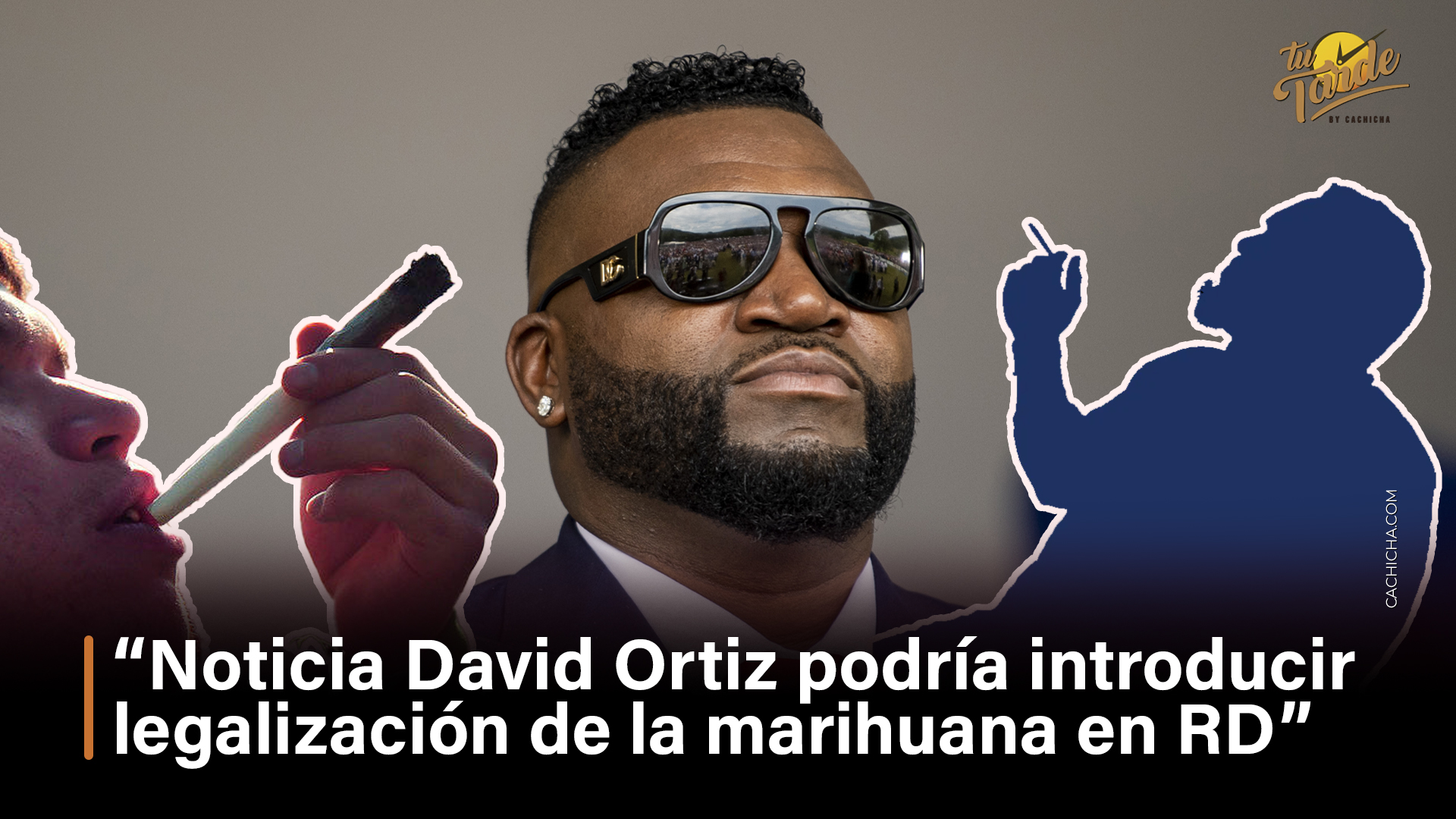 Noticia David Ortiz Podría Introducir Legalización Marihuana RD