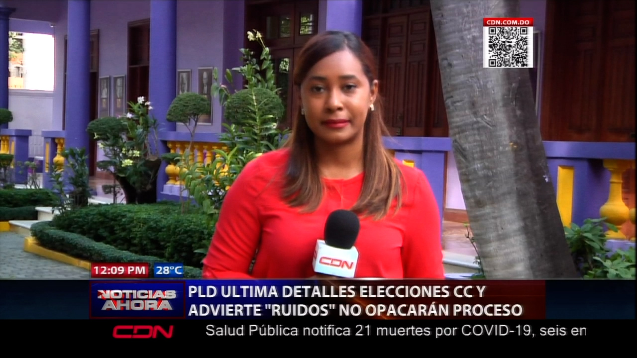 PLD Ultima Detalles Elecciones De Comité Central Y Advierte -ruidos- No Opacarán Proceso