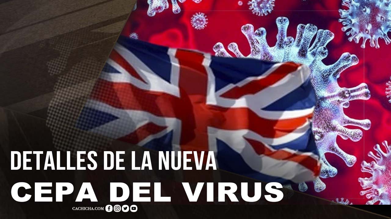 Detalles De La Nueva Cepa De Coronavirus