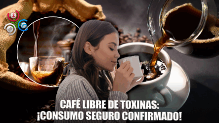 Nuevo Estudio Revela Que El Café Presenta Niveles Mínimos De Contaminantes Y Toxinas