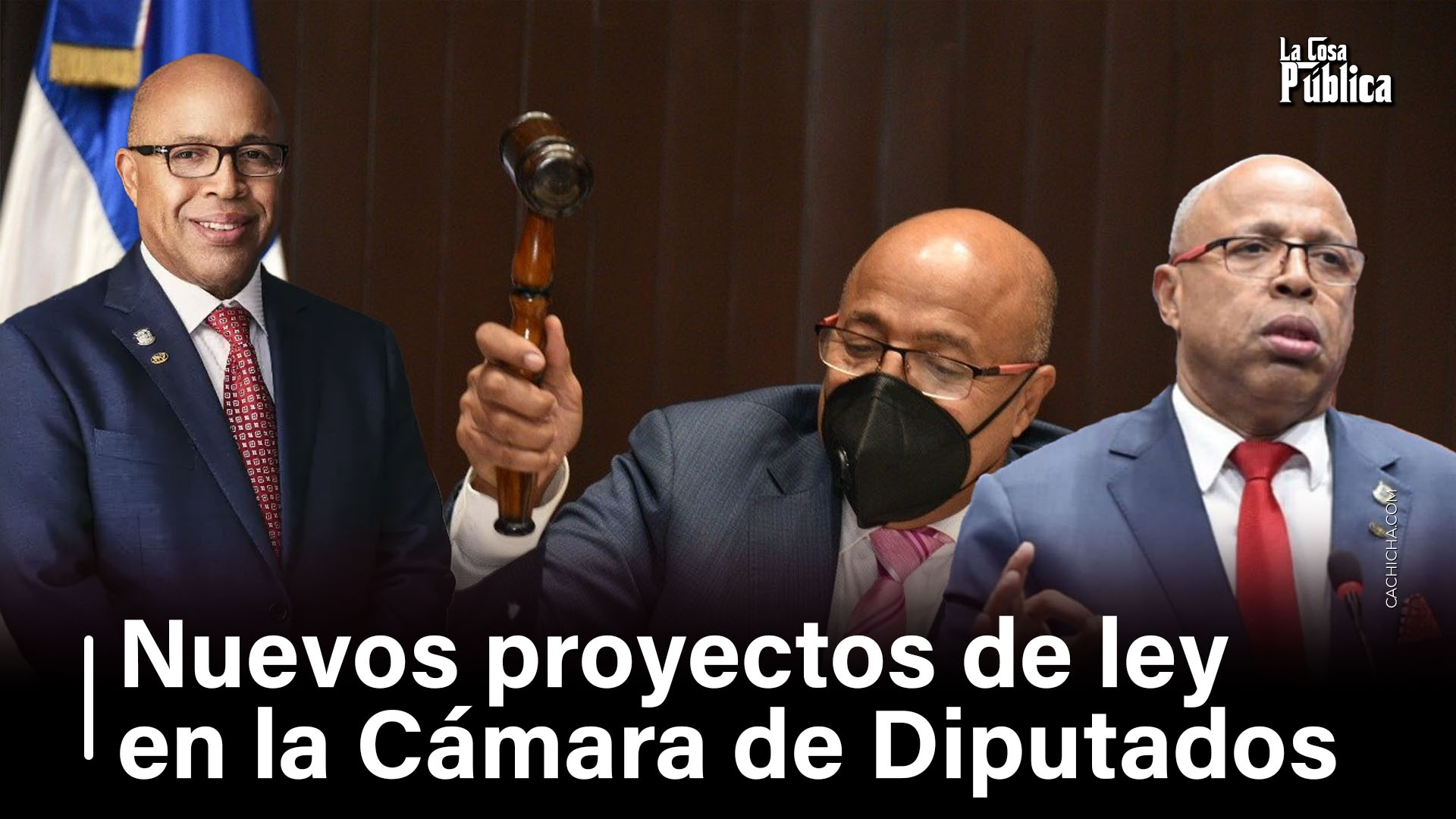 Nuevos Proyectos De Ley En La Cámara De Diputados