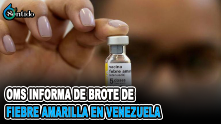OMS Informa De Brote De Fiebre Amarilla En Venezuela | 6to Sentido