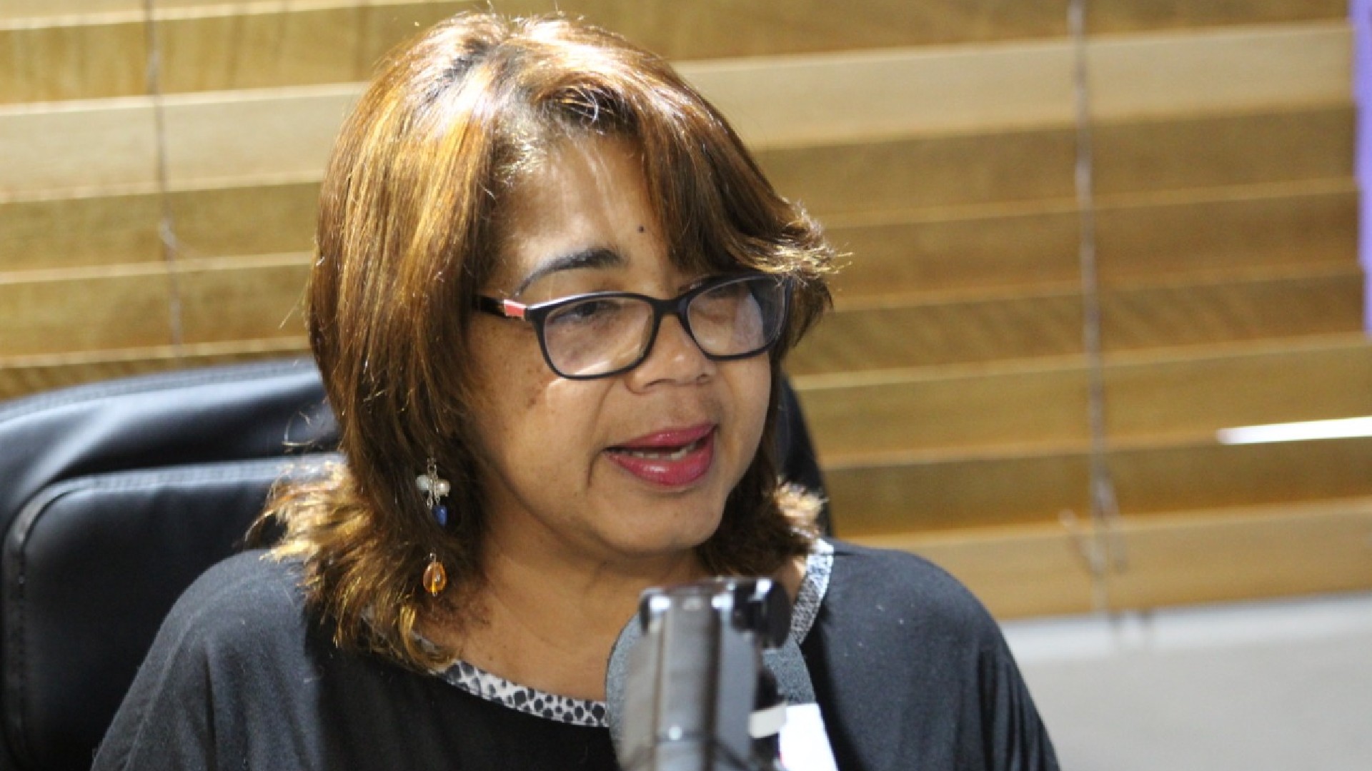 Olaya Dotel Habla De Los Perfiles De Los Miembros De La JCE