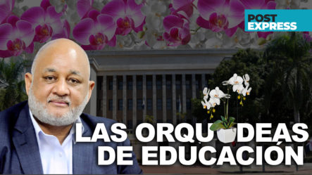 Educación Dice Orquídeas Iban A Ser Reemplazadas Sin Autorización De Nuevas Autoridades | Post Express