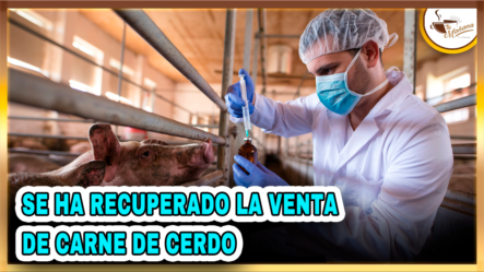 Osmar C. Benitez: “Se Ha Recuperado La Venta De Carne De Cerdo” | Tu Mañana By Cachicha