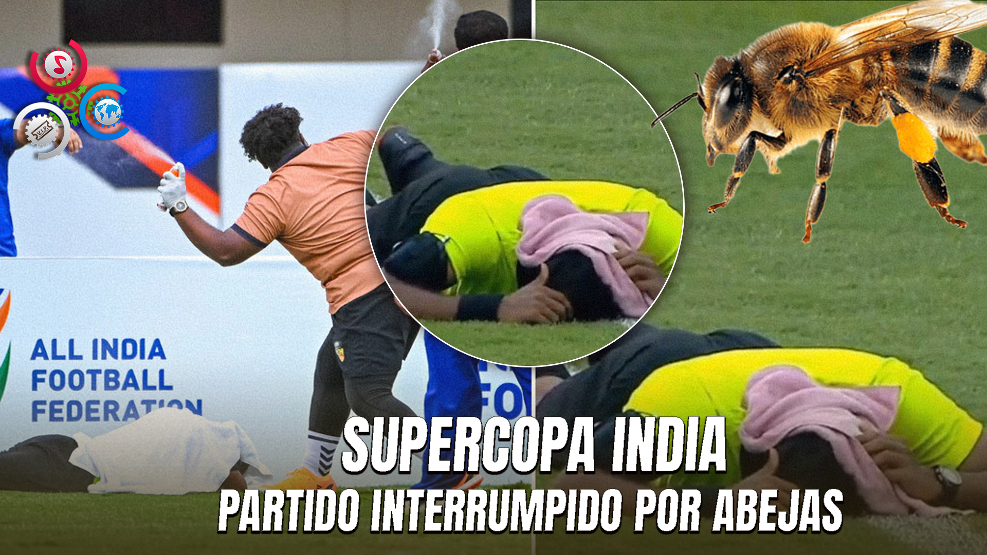 ¡Insólito!: Enjambre De Abejas Detiene Partido De La Supercopa India