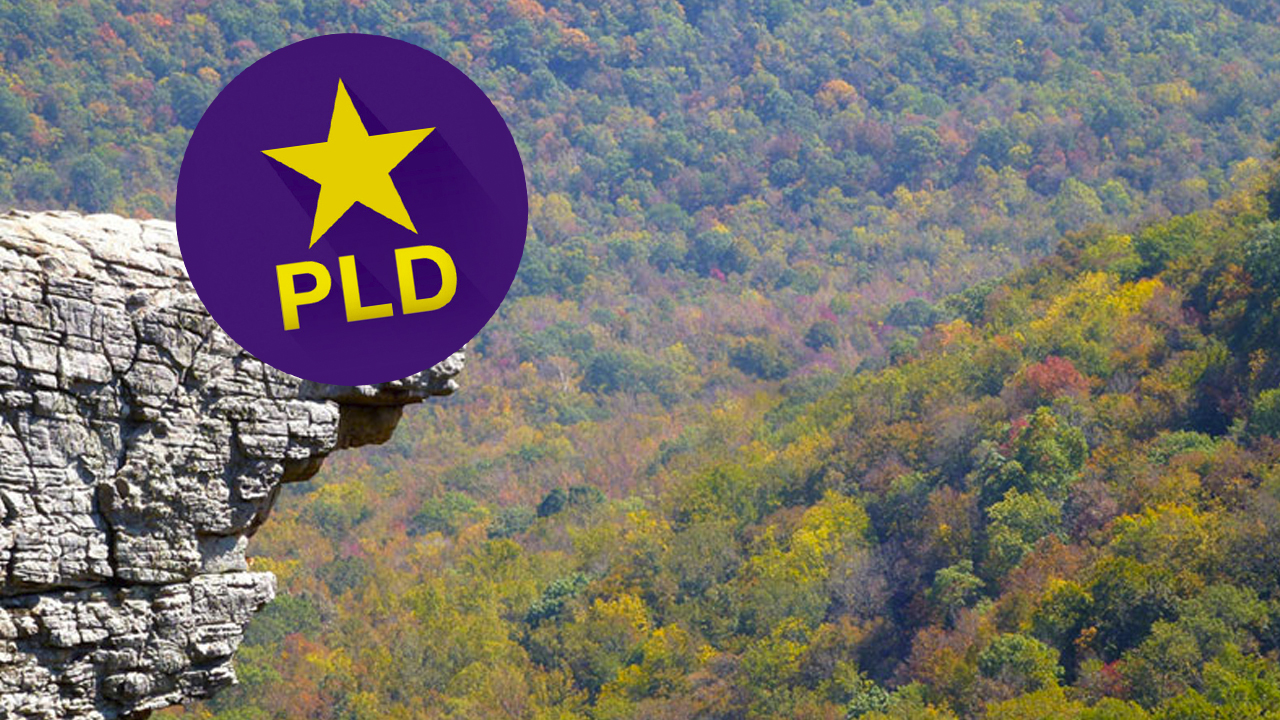 El Gran Y Estrepitoso Derrumbe Del PLD