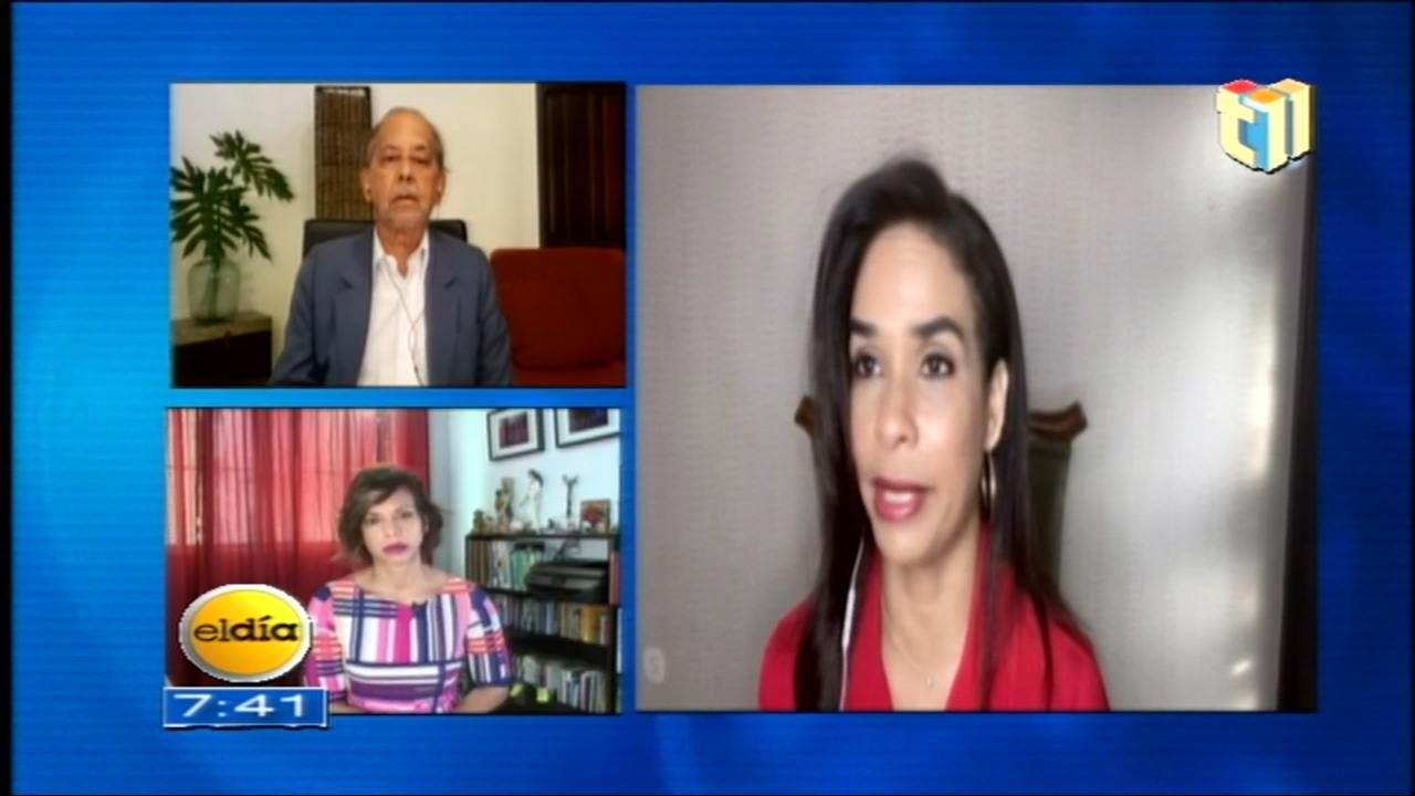 Directora Del INTRANT Habla Sobre Las Medidas Para El Transporte