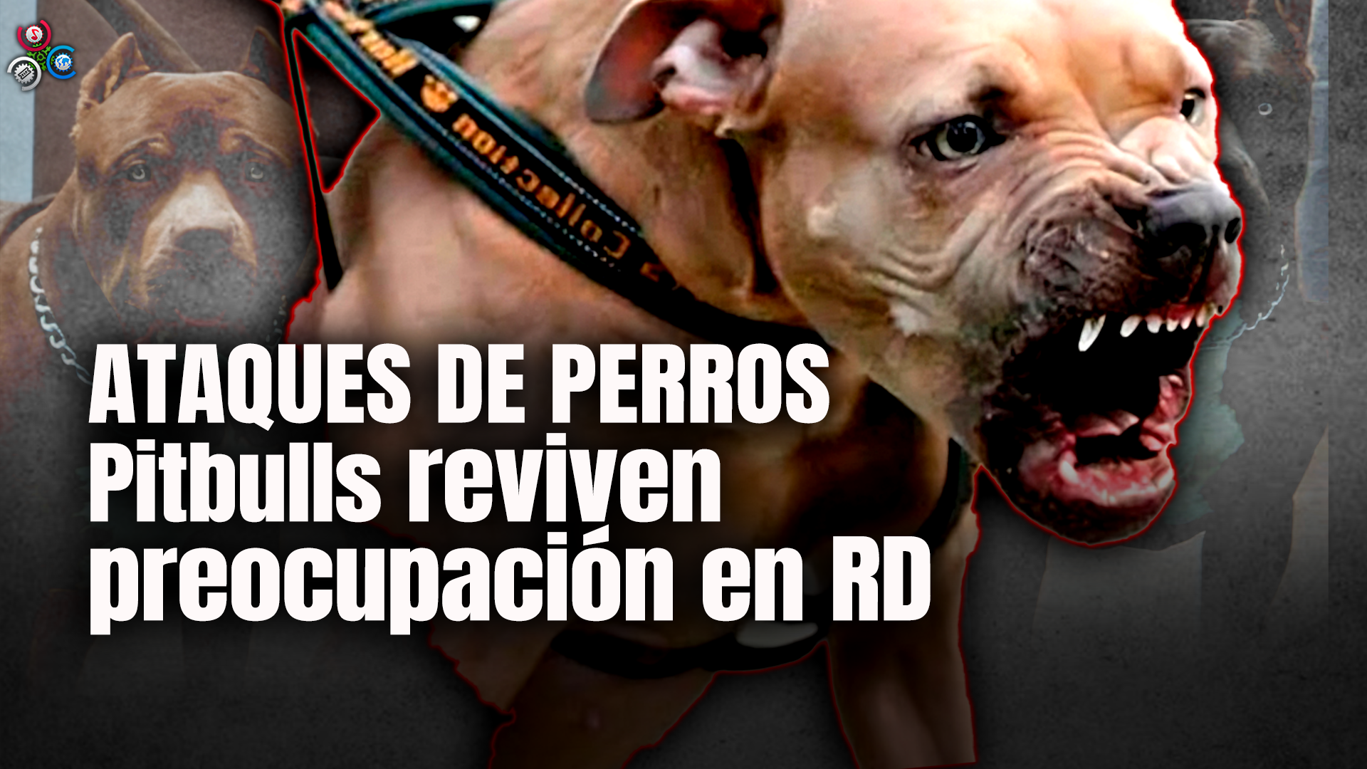 Asesinos Por Descubierto El Informe Con Alicia Ortega