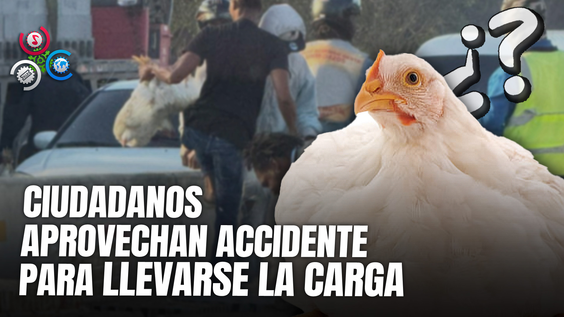 Multitud Saquea Jaulas De Pollos Tras Accidente De Camión