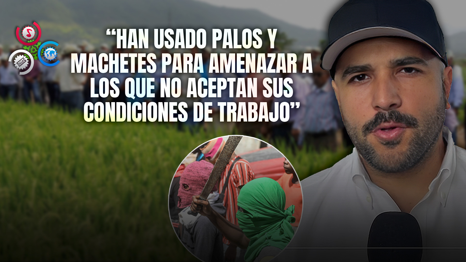 Agricultores Del Nordeste Denuncian Amenazas De Bandas Haitianas En Fincas Arroceras