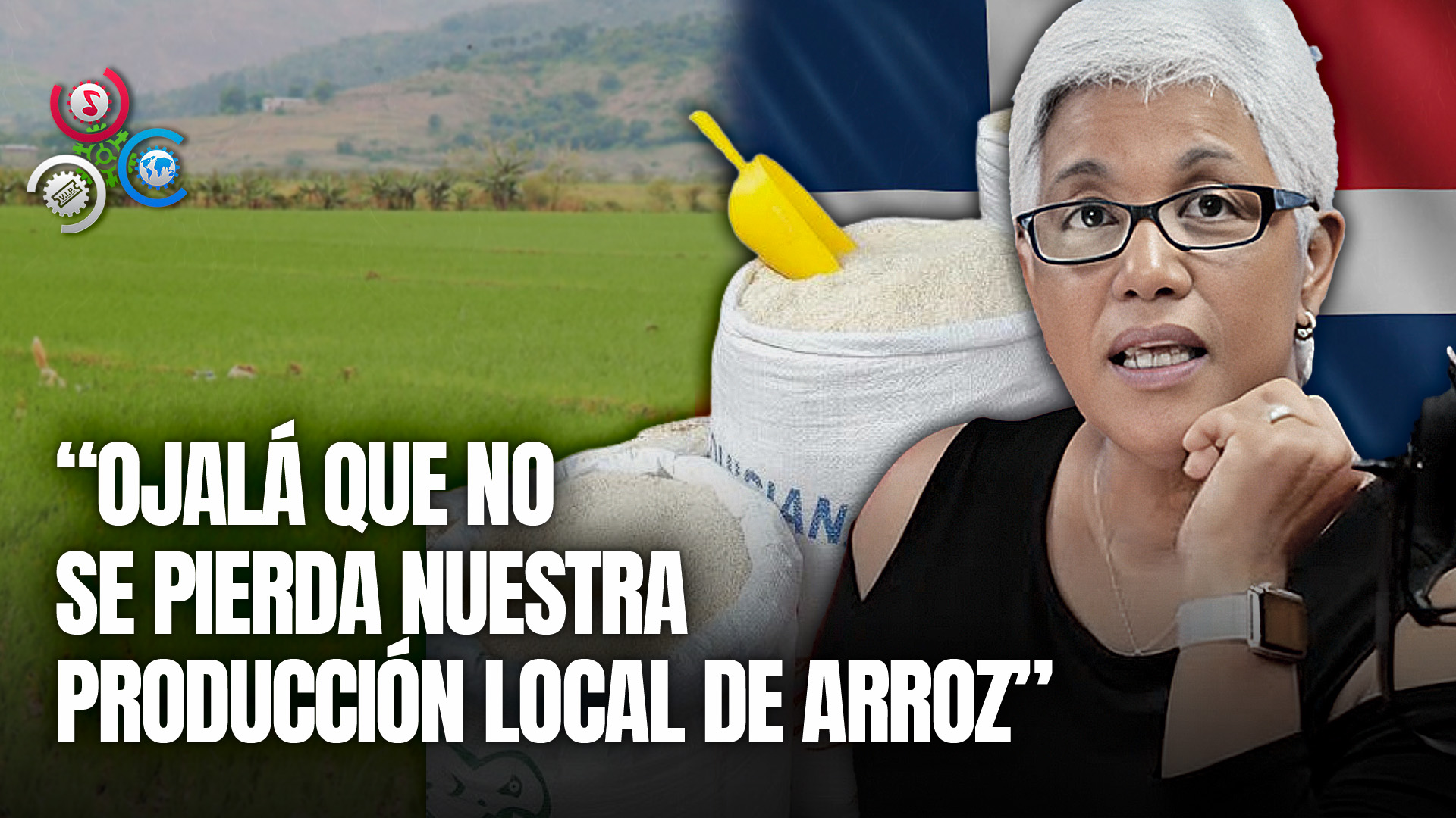 Gobierno Protege La Producción De Arroz Local: La Medida Que Defiende La Soberanía Alimentaria Dominicana