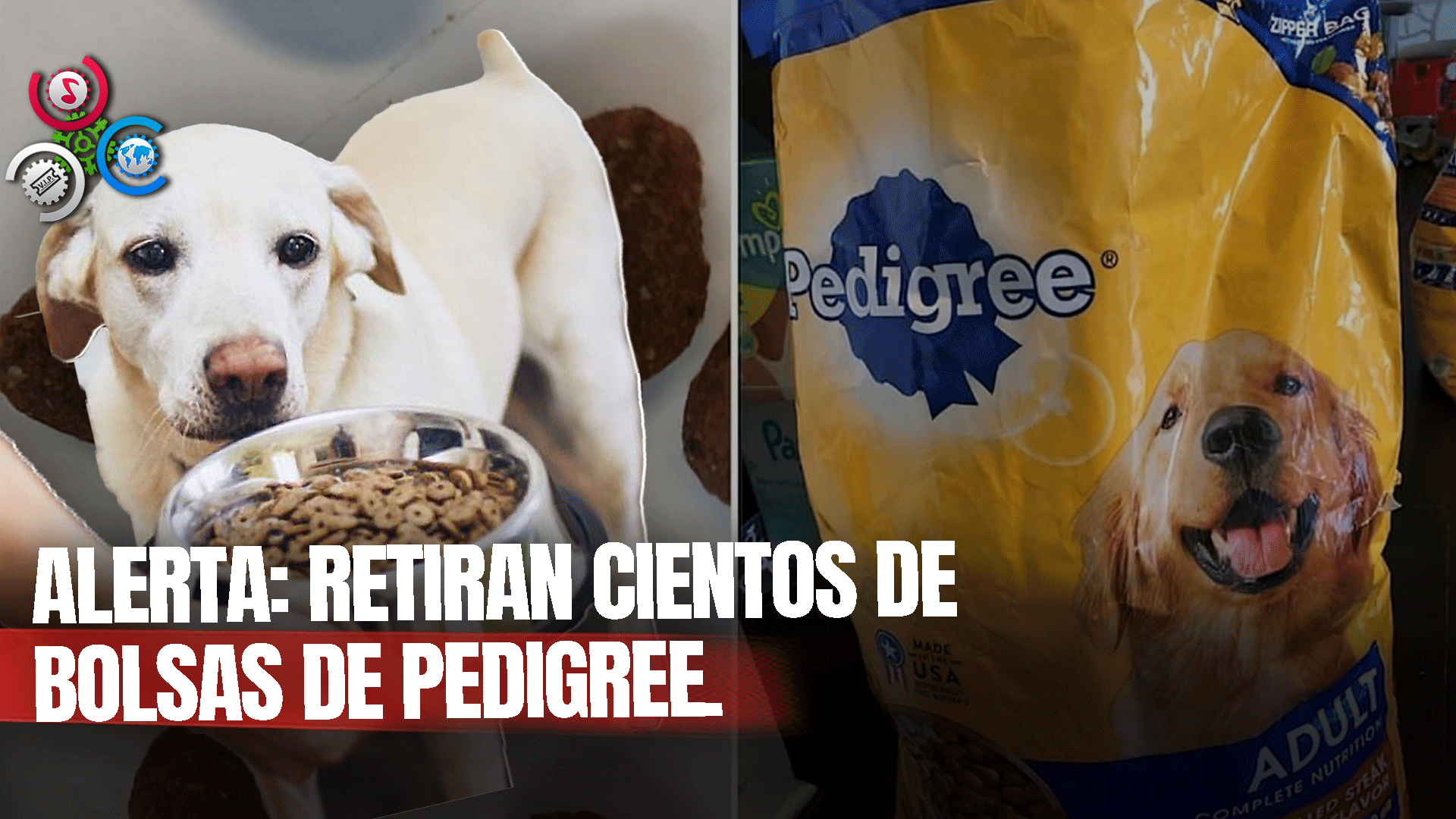 Revisa La Comida De Tu Perro: Retiran Del Mercado Cientos De Bolsas De Pedigree Y Te Decimos Por Qué