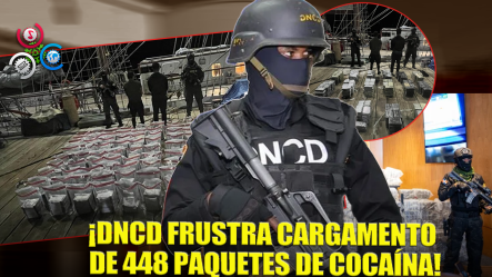 DNCD Incauta 448 Paquetes Sospechosos De Cocaína
