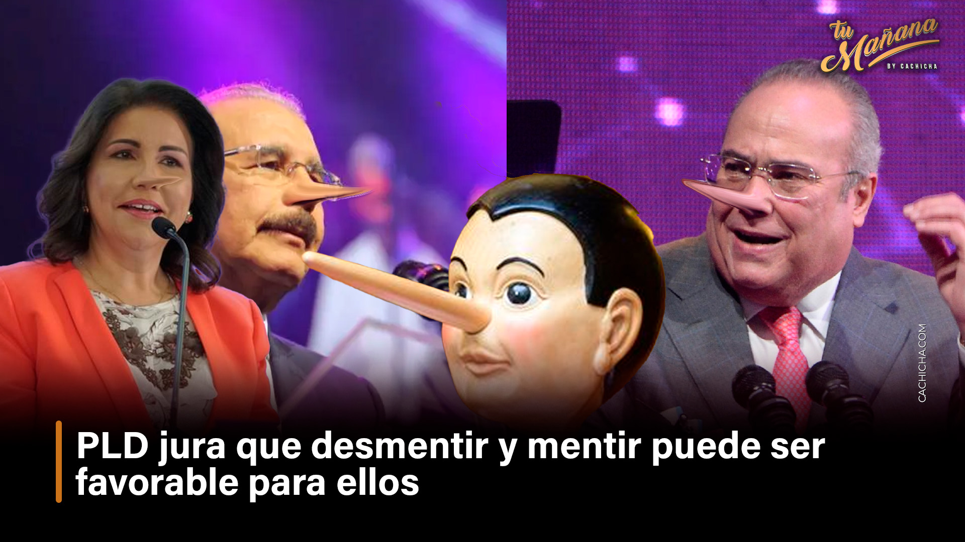 PLD Jura Que Desmentir Y Mentir Puede Ser Favorable Para Ellos