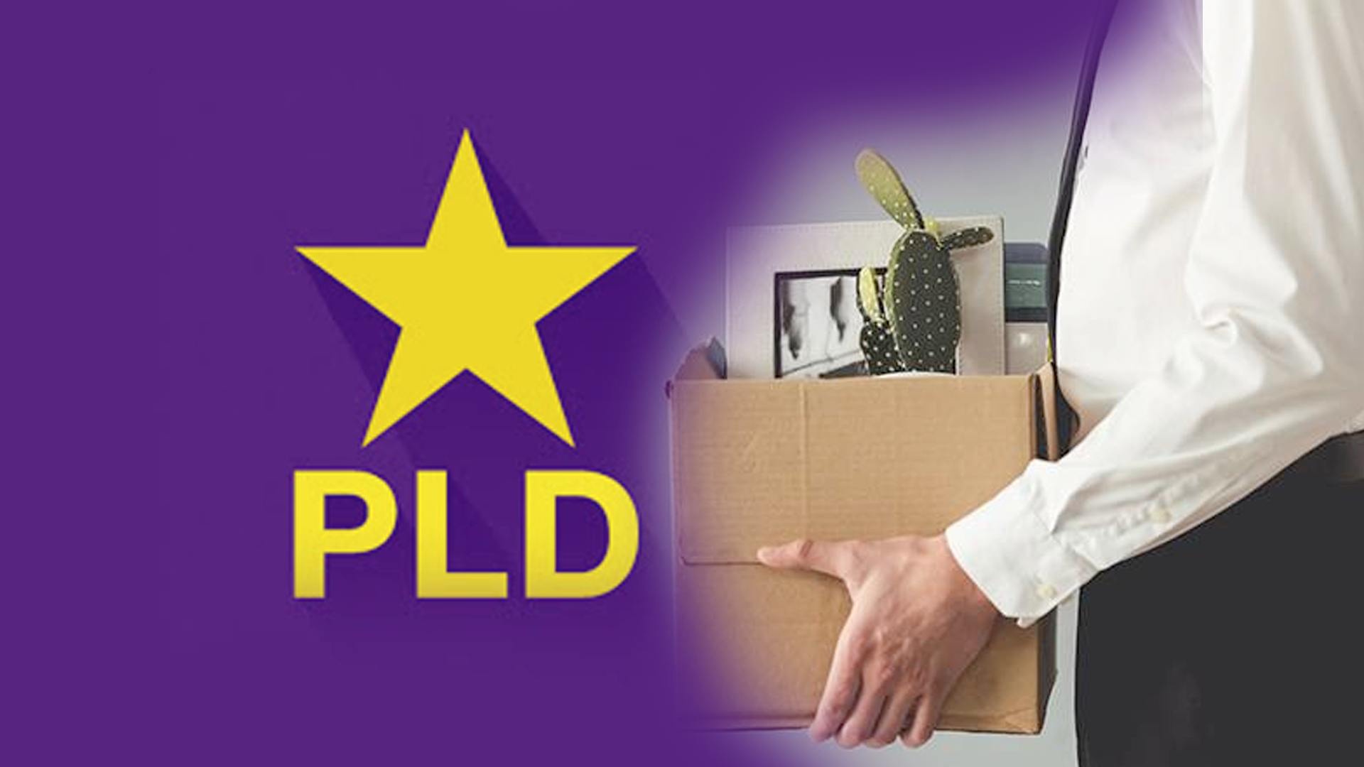 PLD Preparence Pa’ La Transición Y Recojan To’