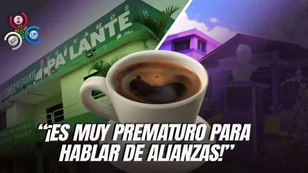 PLD Y FP No Tienen Intención De Formar Alianza Política