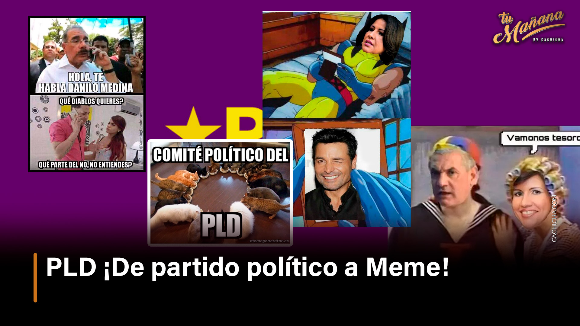 PLD ¡De Partido Político A Meme!