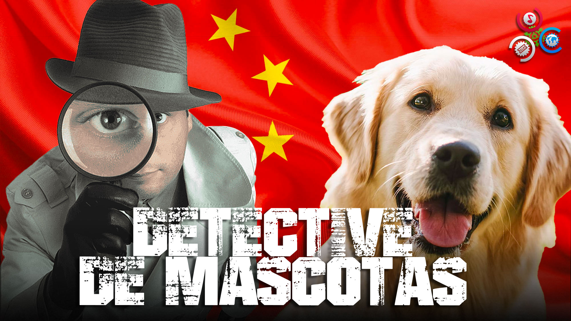 Detective De Mascotas, Una Profesión Al Alza En China