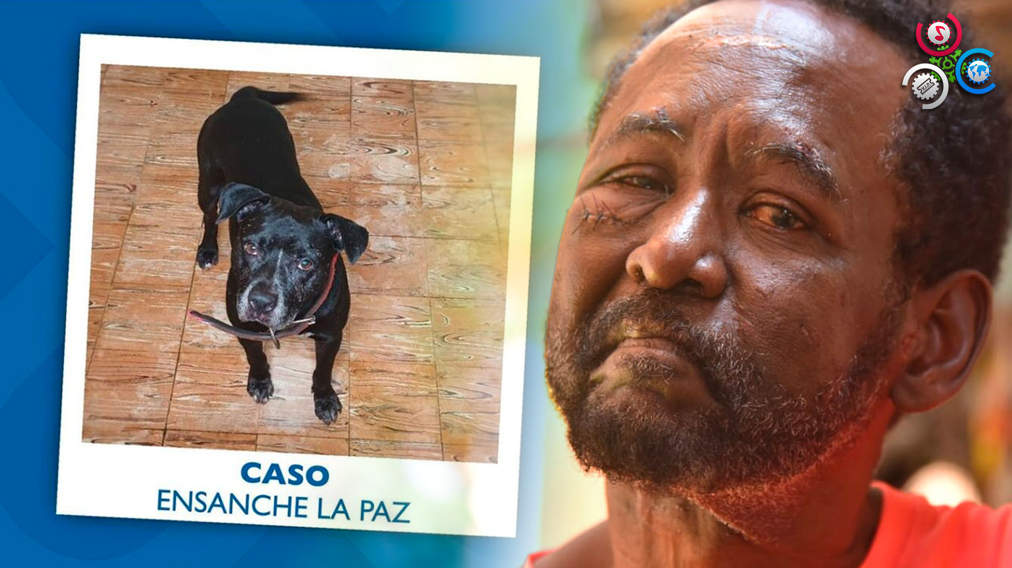 Revelan Perro Que Atacó A Hombre De 65 Años No Reporta “Ningún Comportamiento Agresivo”