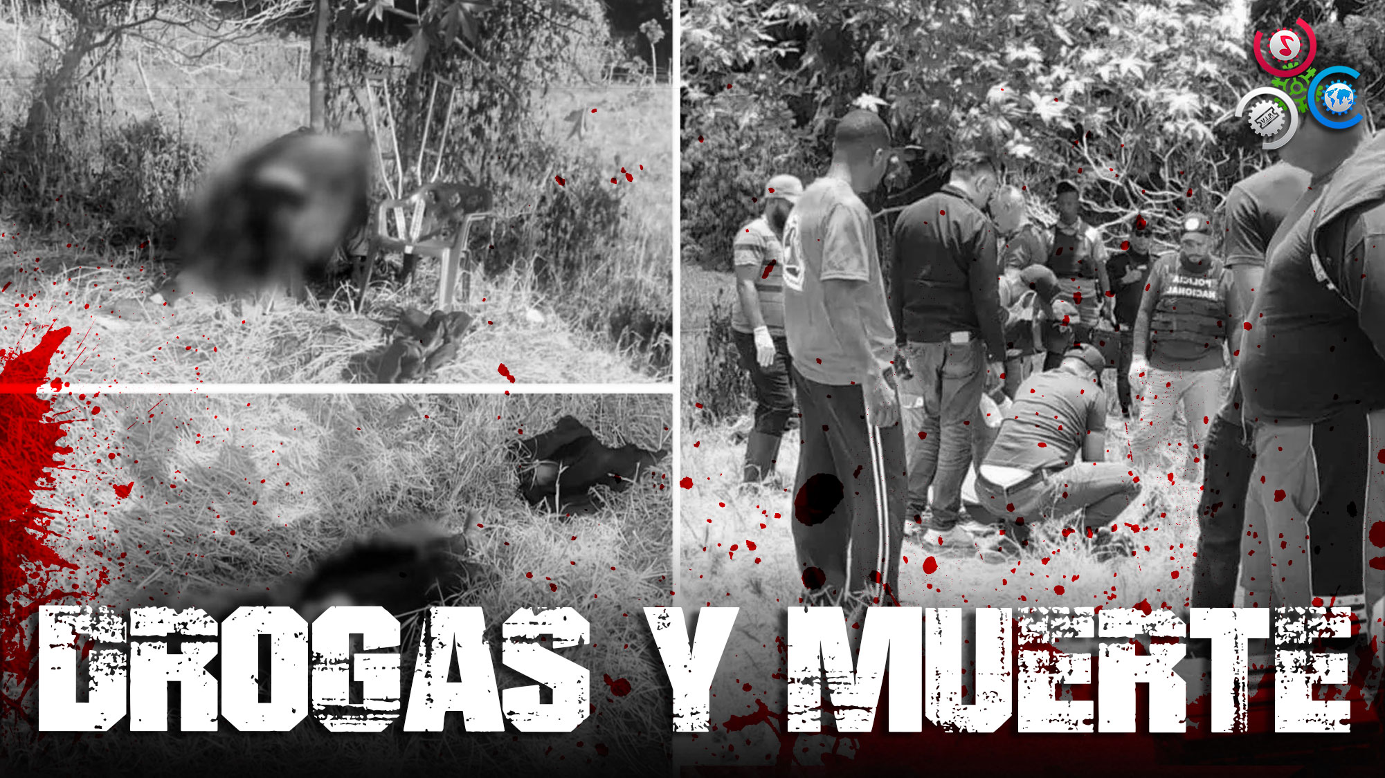 Debate Por Punto De Drogas Desencadenaría Muerte De 4 Jóvenes En San José De Ocoa