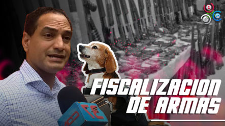 José Laluz: “perros Son La Solución Para Fiscalización De Armas Ilegales”