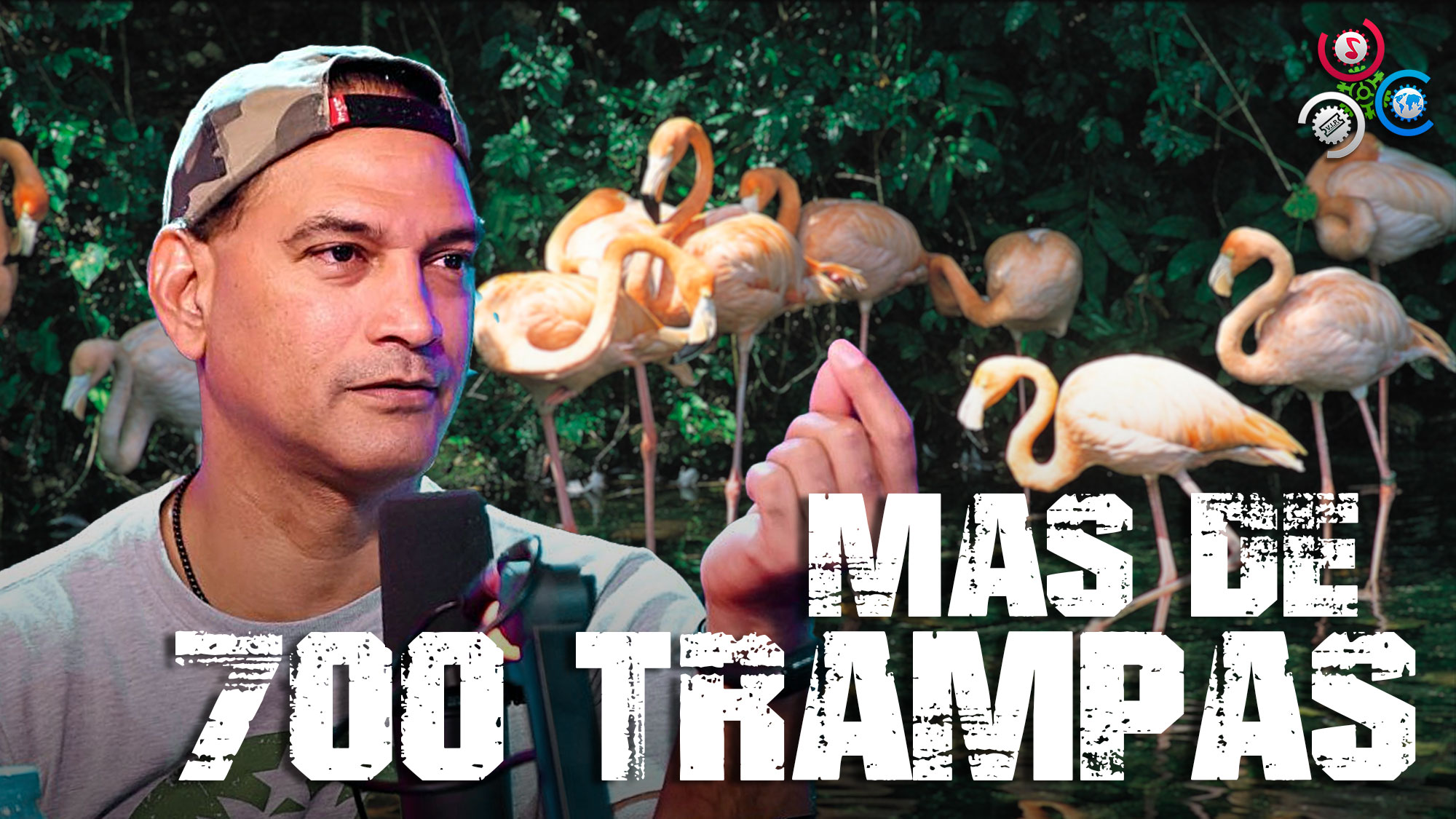 Fotógrafo Quita 700 Trampas Para Flamenco En 24 Horas En Áreas Protegidas