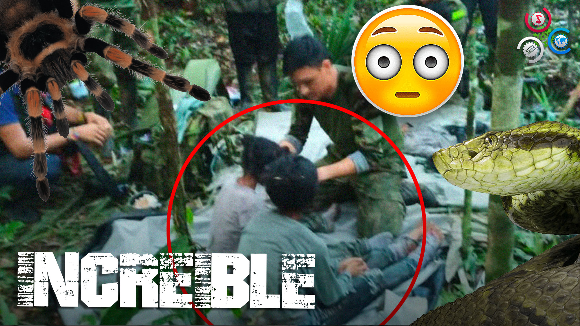 ¡Impresionante! Rescatan Niños Perdidos Durante 40 DÍAS En Selva De Colombia 