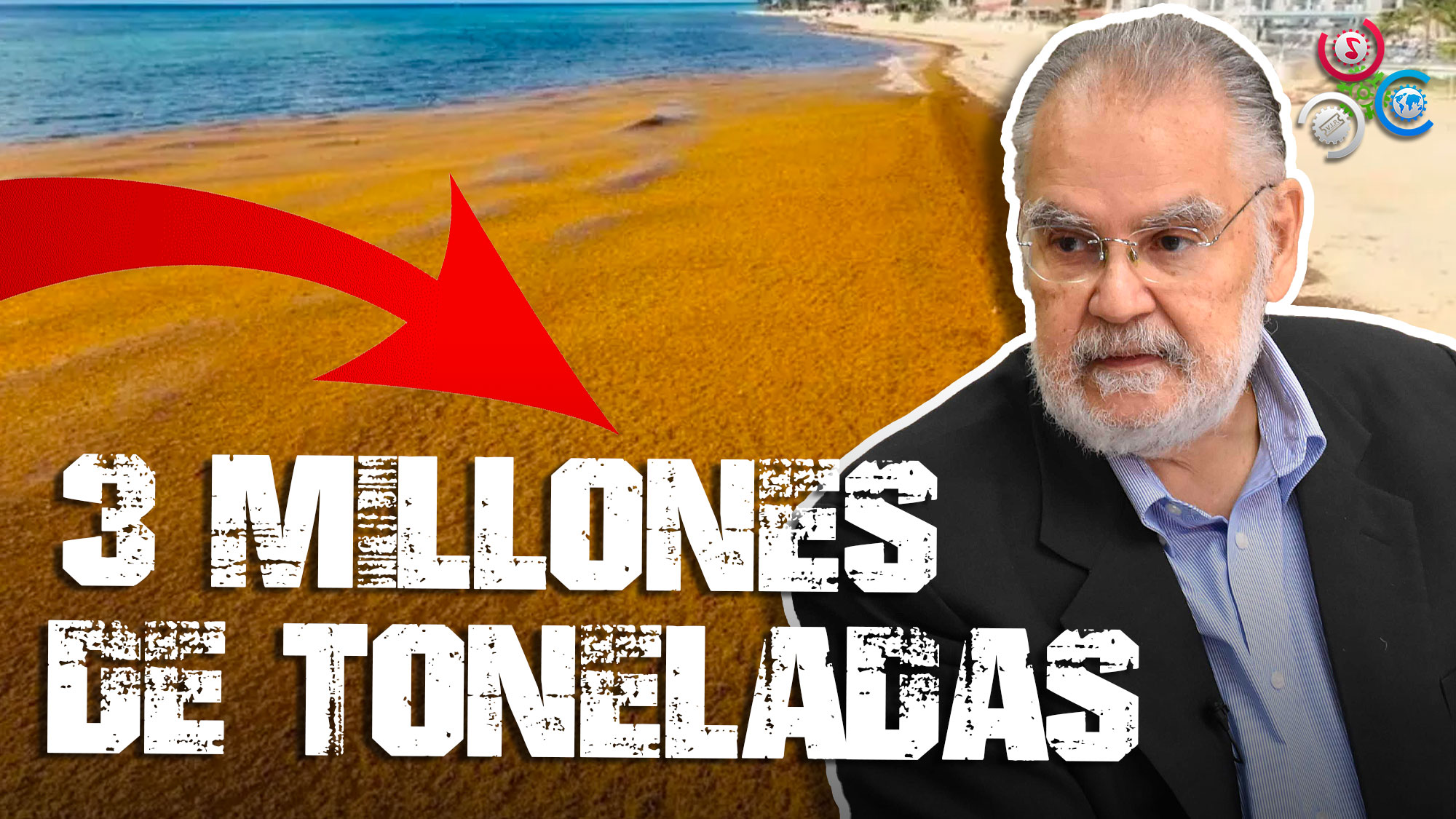 Mas De Tres Millones De Toneladas De Sargazo Llegarán A RD