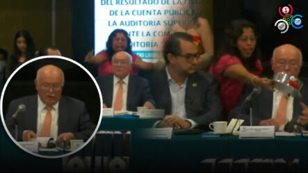 Diputada Mexicana Arroja Ratas De Plástico A Un Alto Funcionario Y Lo Acusa De Corrupto