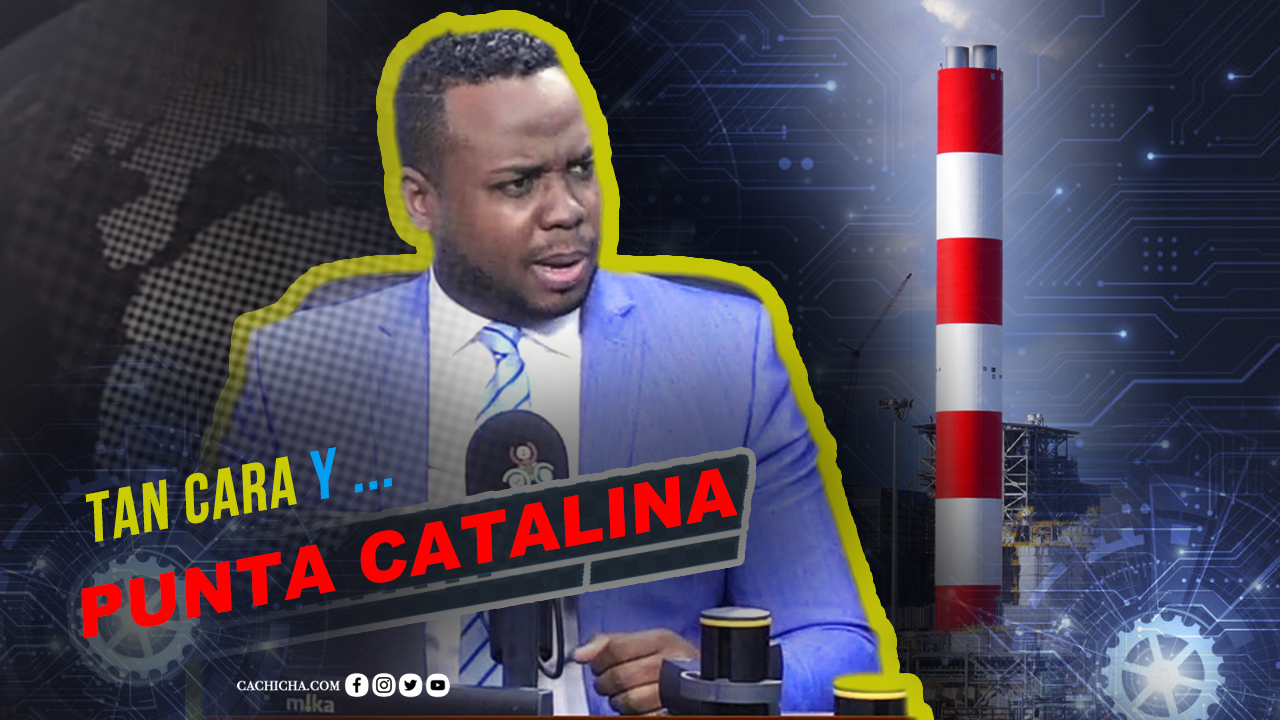 La Planta Que Tiene A Todos En Para | Tu Mañana By Cachicha