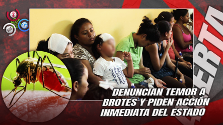 Padres Piden Prevención Ante Epidemia Tras Salud Pública Confirmar Tres Casos De Chikungunya