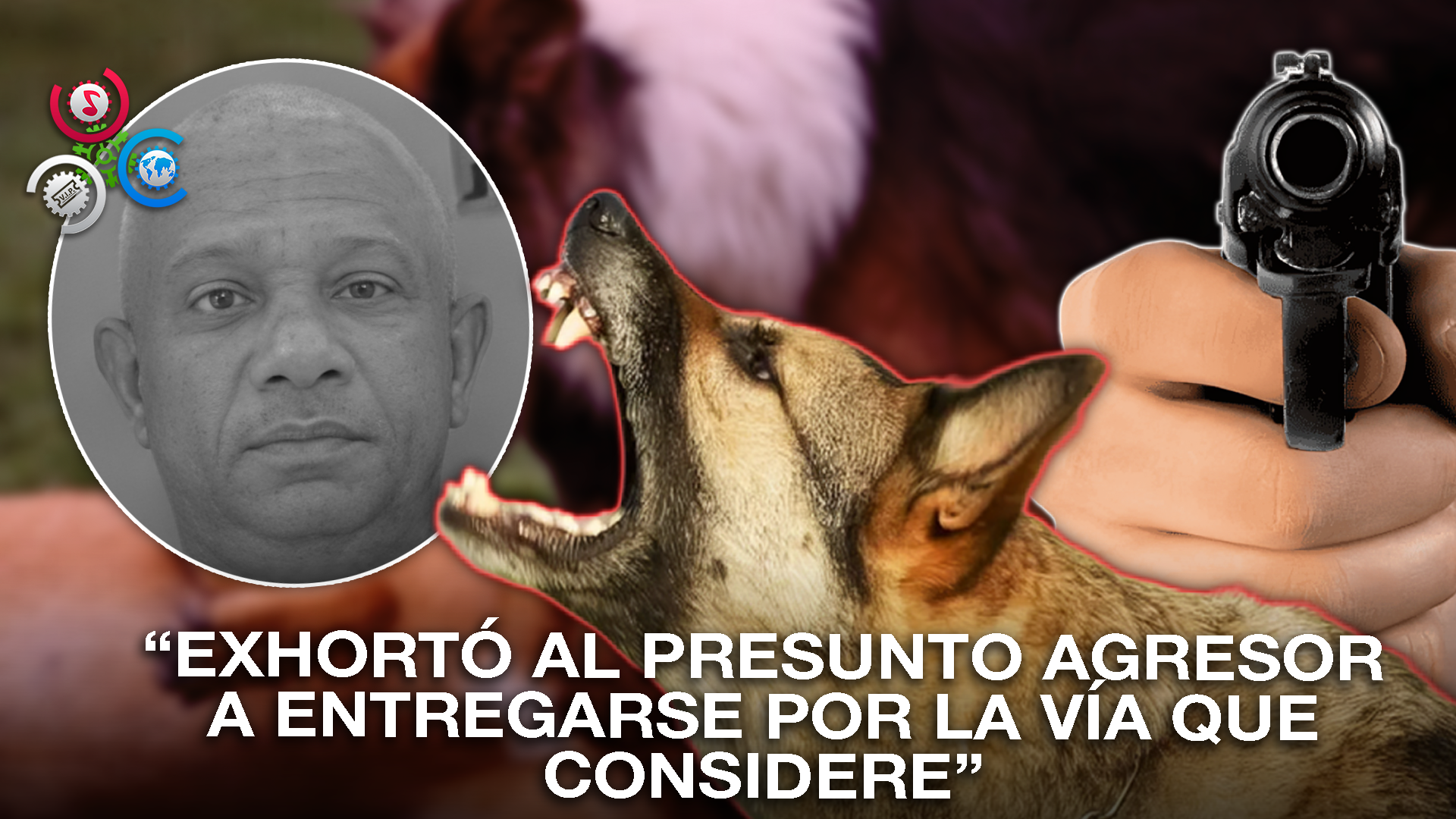 Discusión Por Mordida De Perro Deja Un Hombre Muerto En San Francisco De Macorís