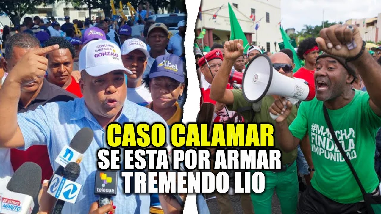 Peledeístas Exigen Libertad Pura Y Simple De Gonzalo Castillo Y Demás Apresados