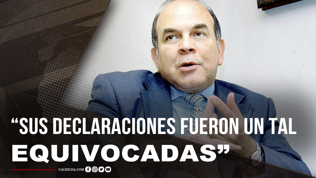 Pelegrín Castillo: “Las Declaraciones Del Presidente Fueron Un Tal Equivocadas”