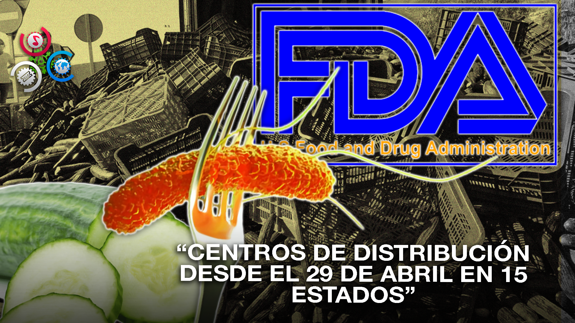 Retiran Pepinos De Bedner Growers Por Sospecha De Salmonela