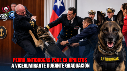 Perro Antidrogas Protagoniza Insólito Momento Al Lanzarse Sobre Un Vicealmirante Durante Ceremonia Naval En Chile
