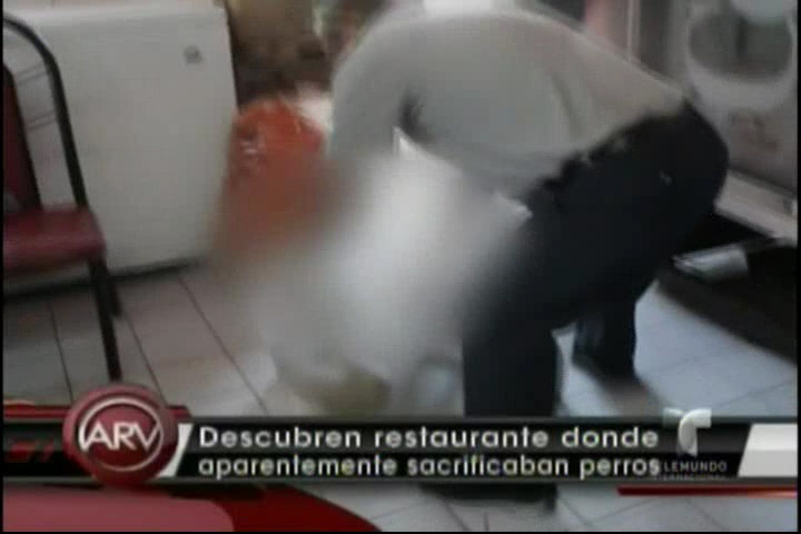 Descubran Restaurante Donde Aparentemente Sacrificaban Perros #Video