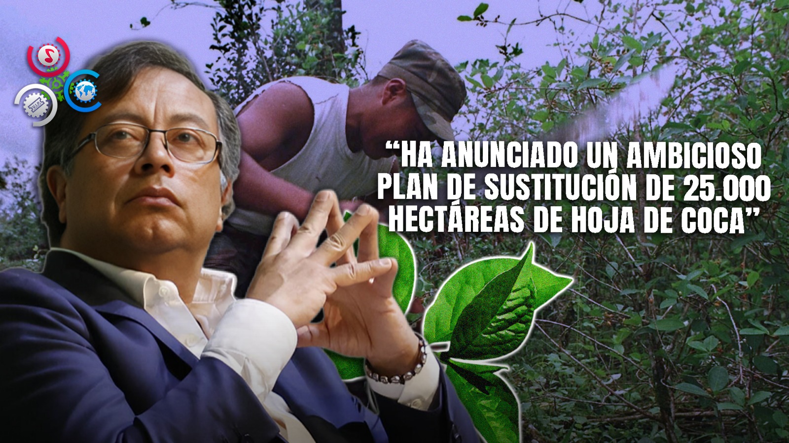 Petro Reafirma Su Compromiso De Erradicar Los Cultivos De Coca