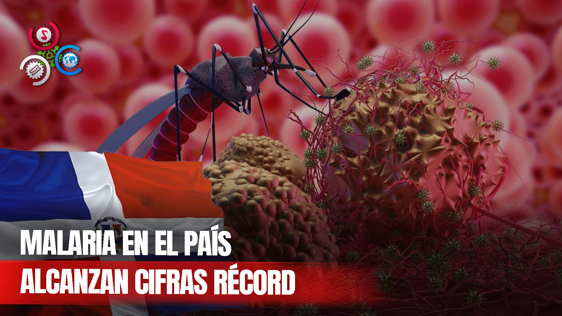 Detectan Dos Focos De Malaria En El País Número De Casos Confirmados Ya Llega A Cifras Récord