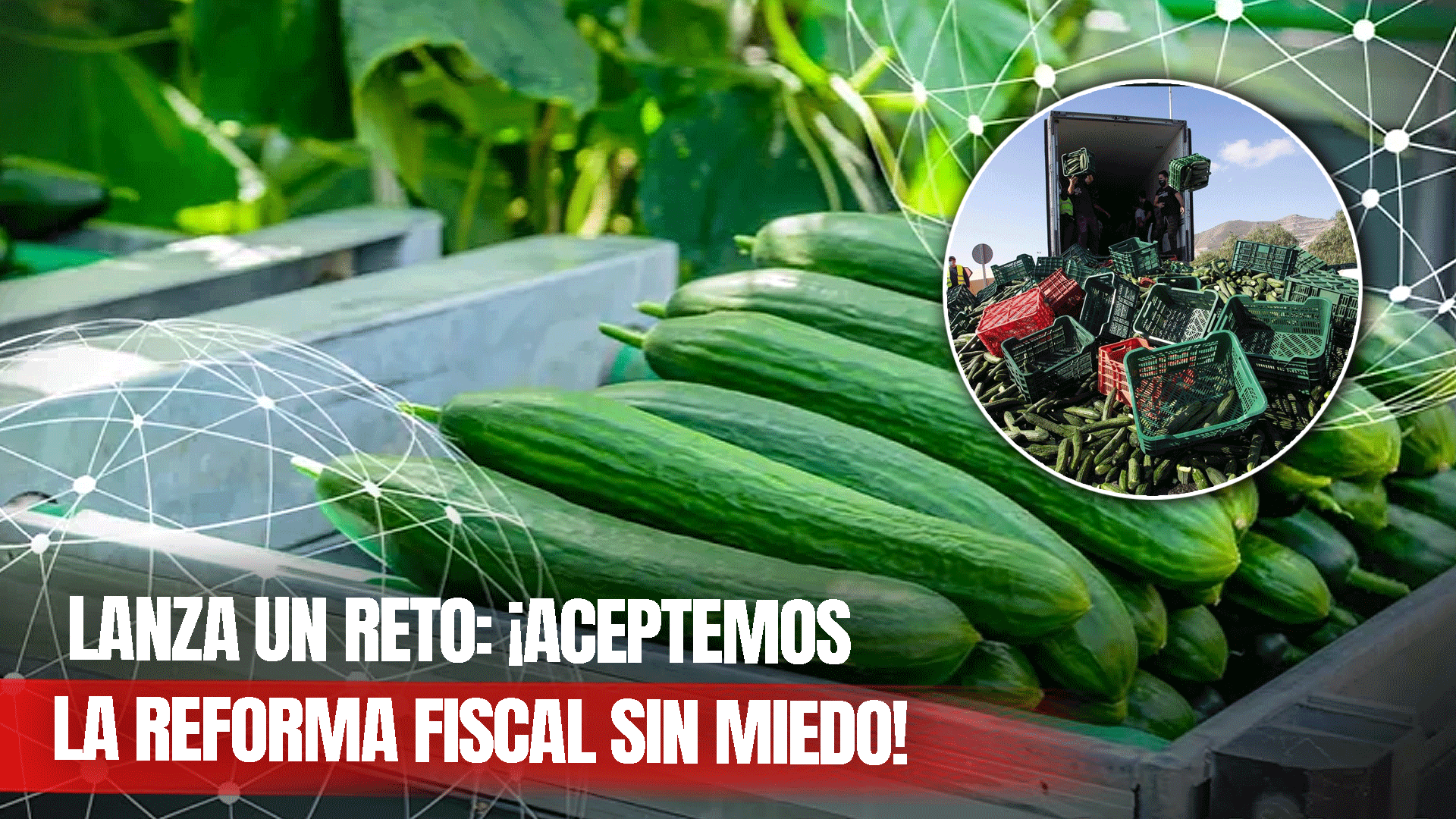 Retiran Del Mercado Pepinos Por Posible Contaminación Con Salmonella En Varios Estados De EE. UU.