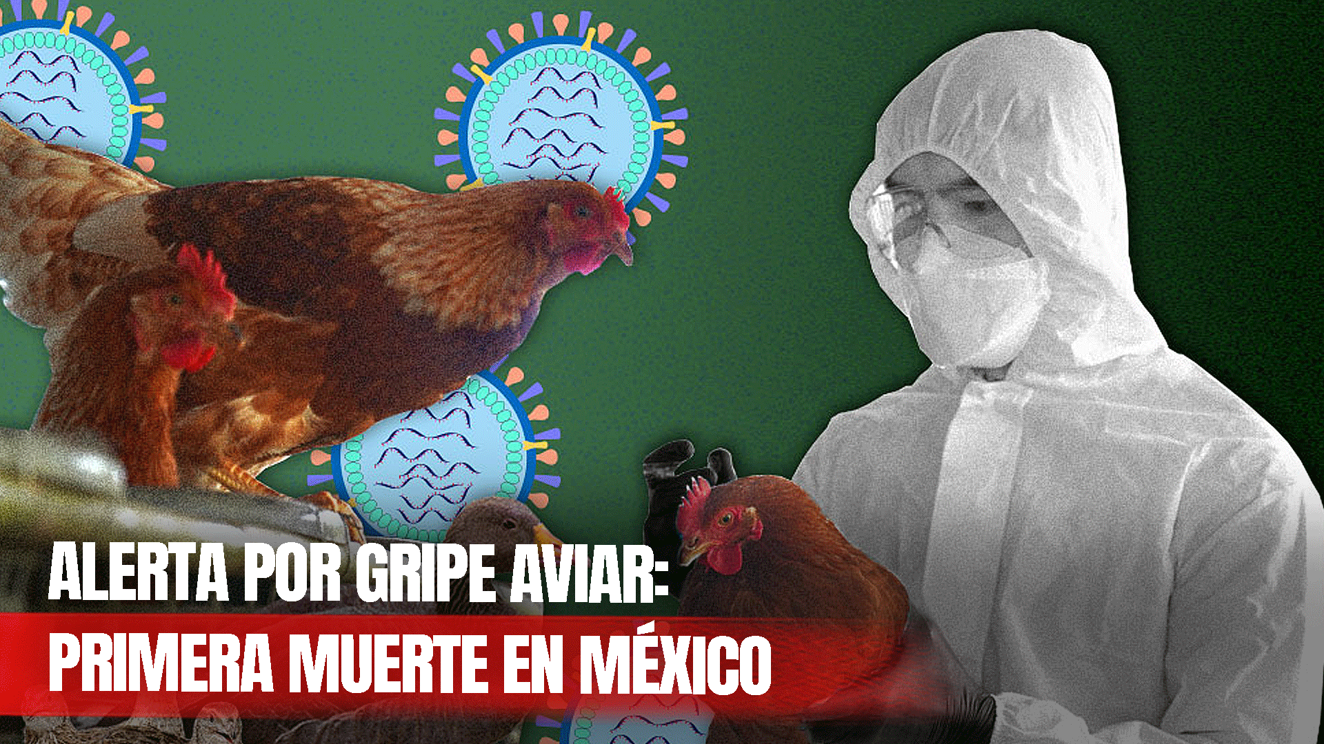 Muere En México La Primera Persona Por La Gripe Aviar. El Secretario De Salud Hizo Una Advertencia