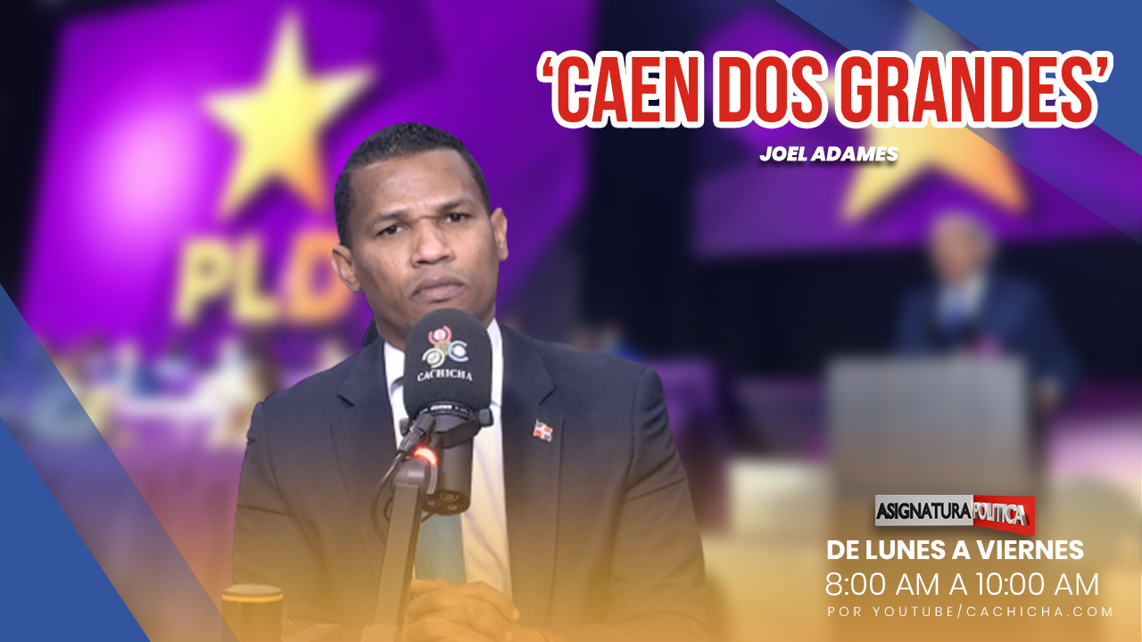 Caen Dos Grandes Protegidos De Danilo Medina | Asignatura Política