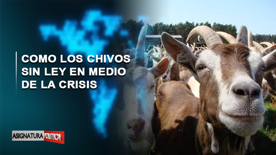 EN VIVO: Como Los Chivos Sin Ley En Medio De La Crisis | Asignatura Política