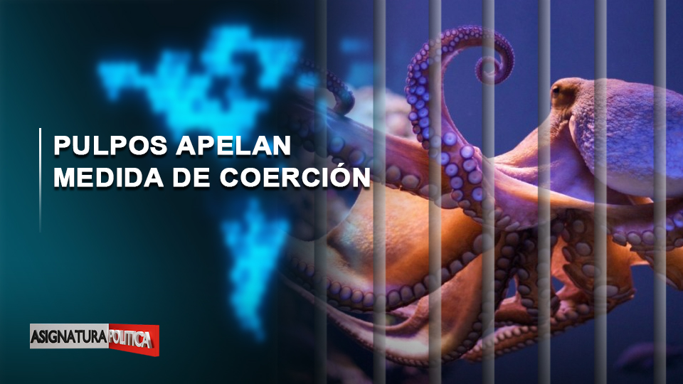 EN VIVO: Pulpos Apelan Medida De Coerción | Asignatura Política